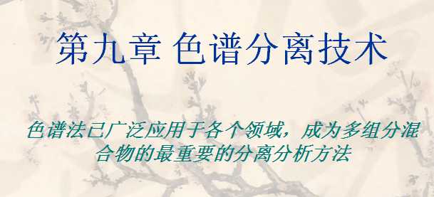 �ھ���_ɫ�V���x���g