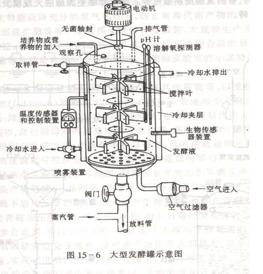 �l�͹޽Y���D