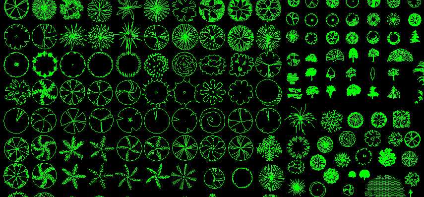 �@��ֲ��D��CAD�D��