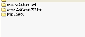 PROEWILDFIRE�Y�ϼ��̌W�Ӯ�