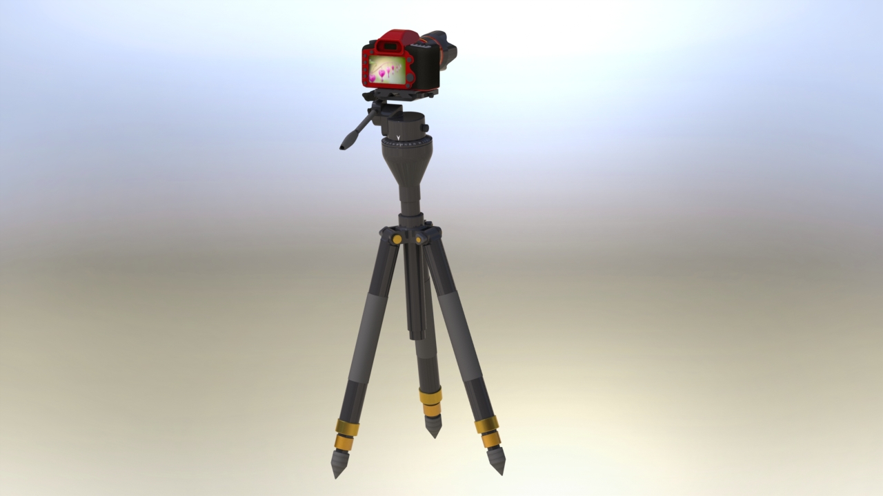 �����C���_�����_��SW