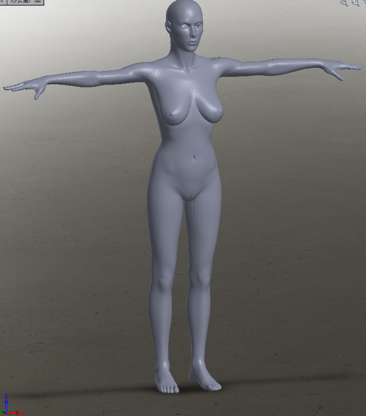 ���w���Sģ��