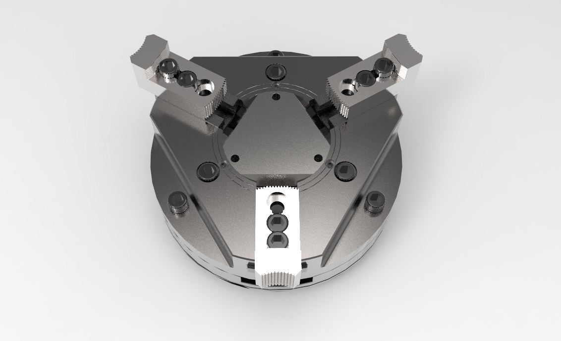 ��צ���PSTP