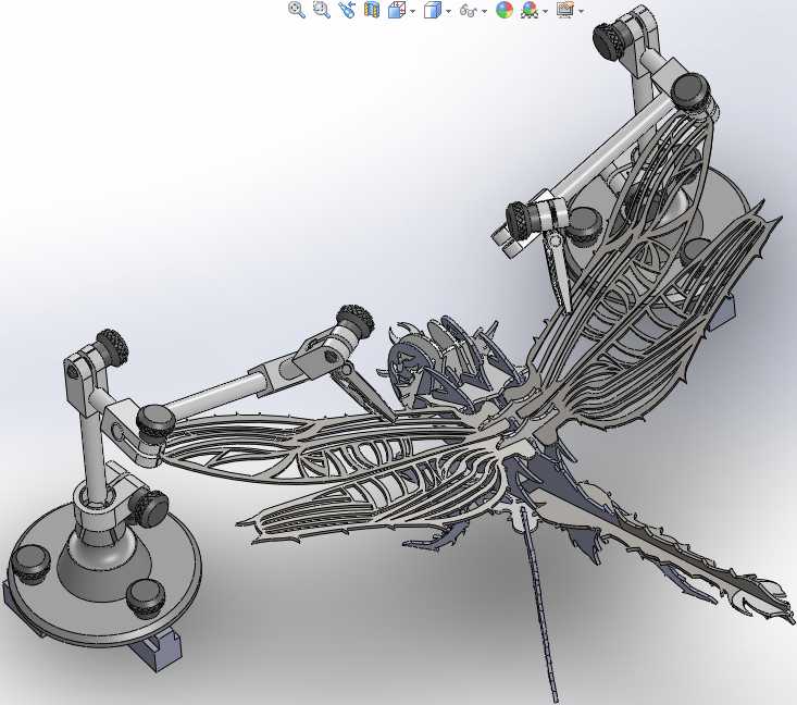 ���ٰ�Ƭƴ�DSW