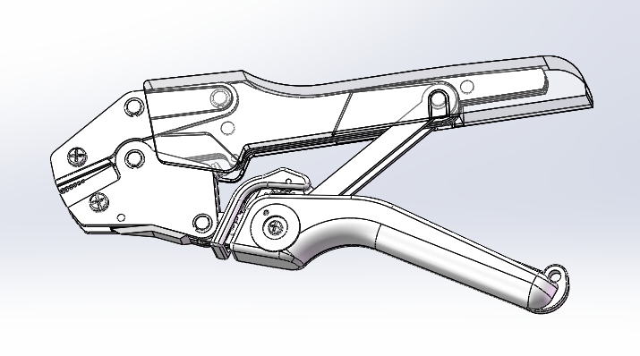 �����Q���S�D