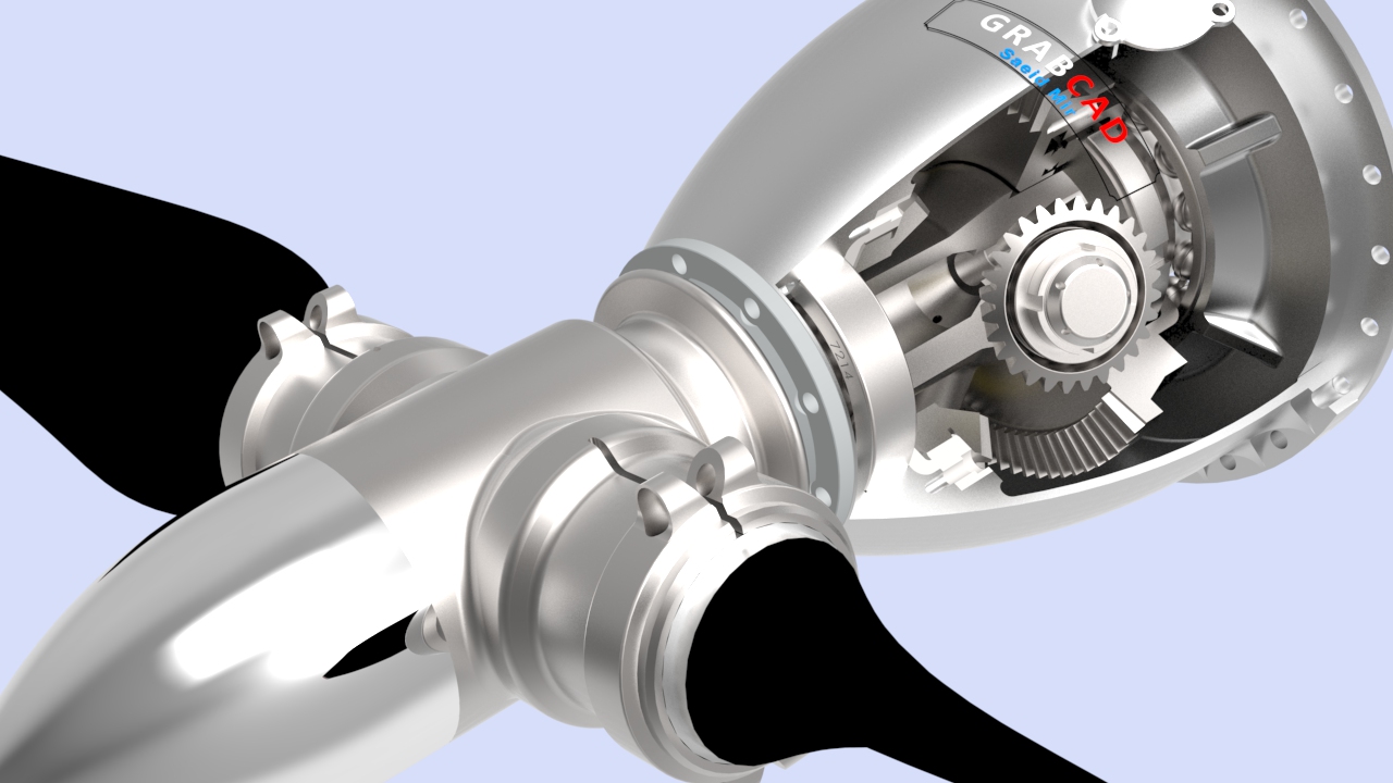 �w�C�p����