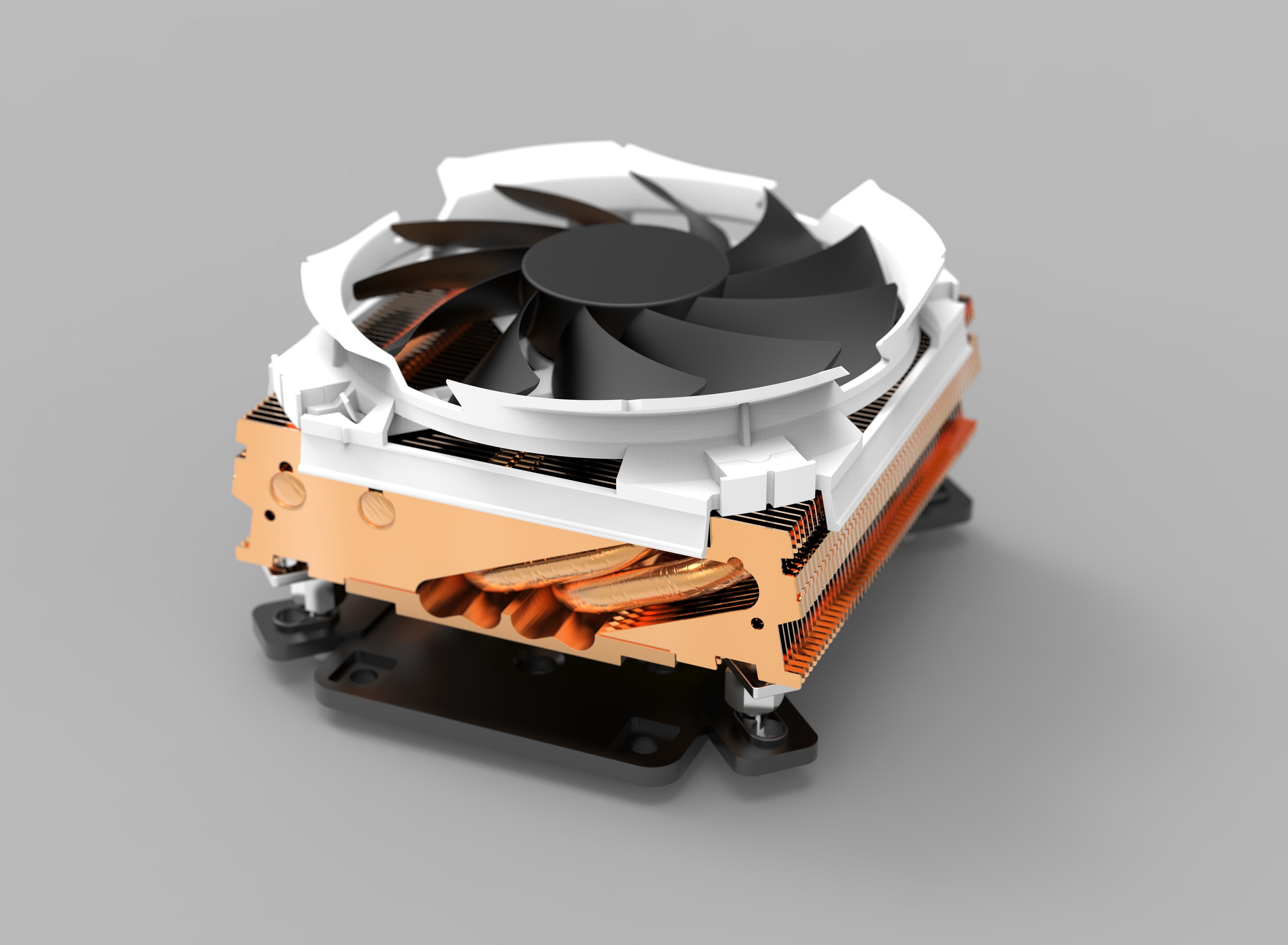 ��Xɢ���L�����S�D