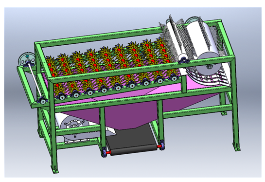 �������x�CSW