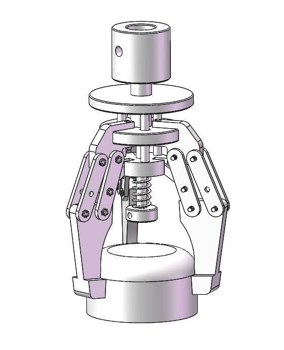 ��צ�A�֊A��STP