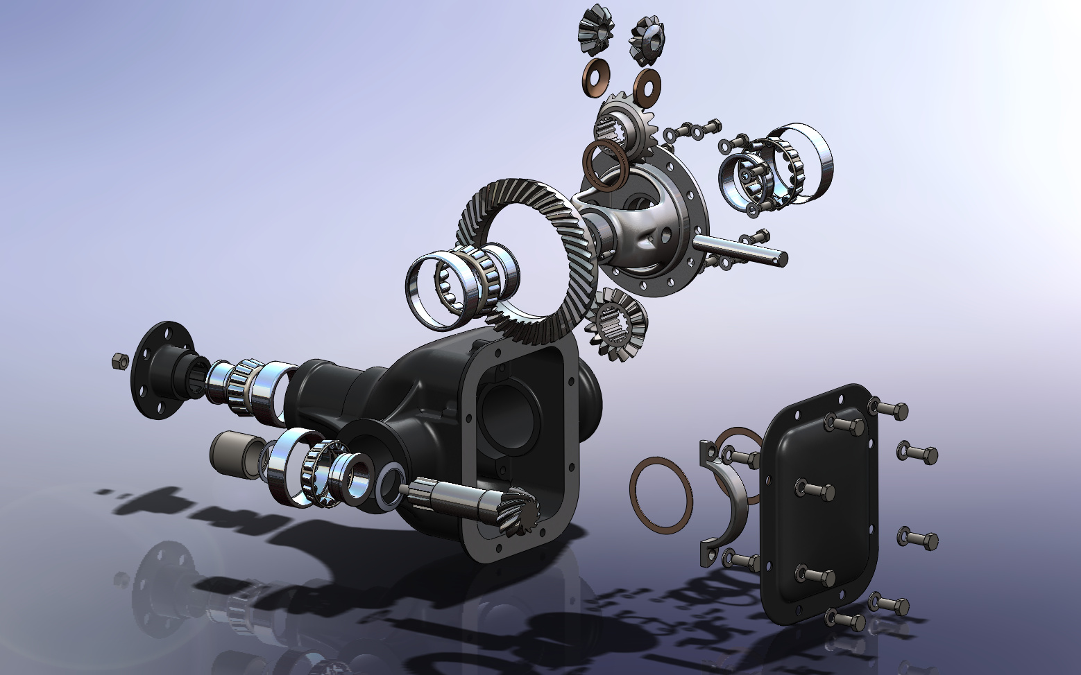 ���S�������D��