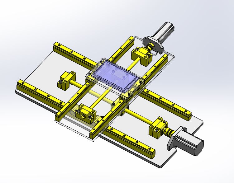 �߾���XY�S���_