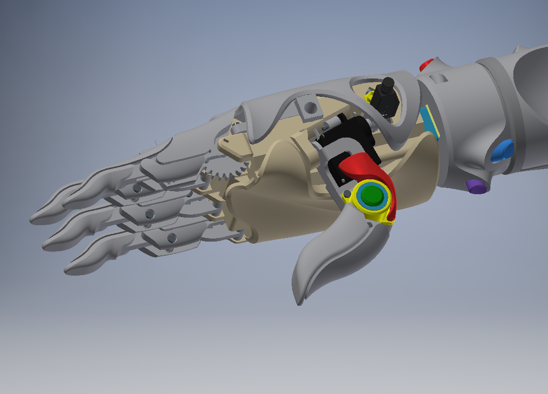 �������֣���֫���O(sh��)Ӌ(j��)ģ��