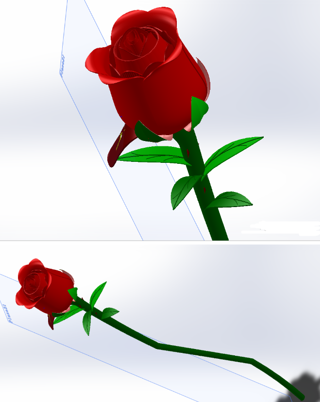 һֻRoseõ�廨3D��ģ�D�� Solidworks�OӋ