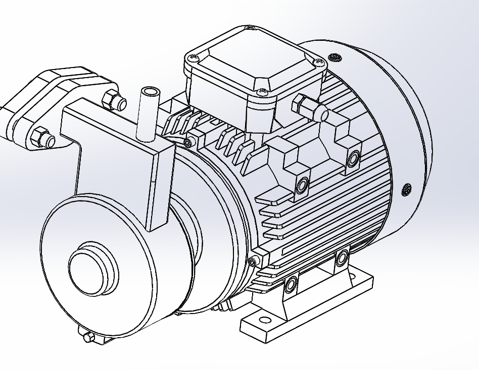 ���͌���늙C