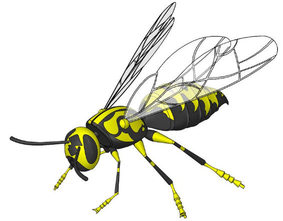 Wasp���S���۷�ģ��3D�D�� Solidworks�OӋ