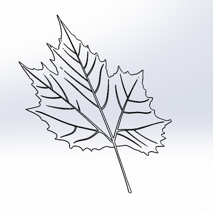 �����~��