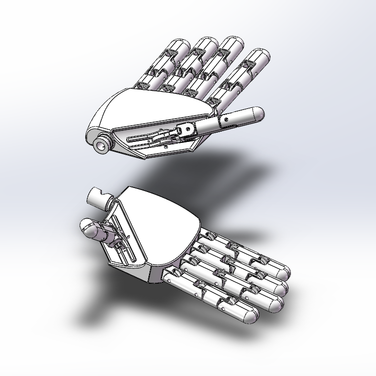 3D��ӡ�ļ�֫