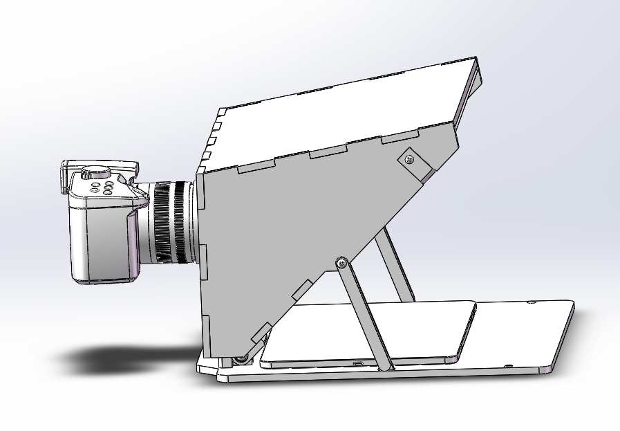 ���~�����S�D