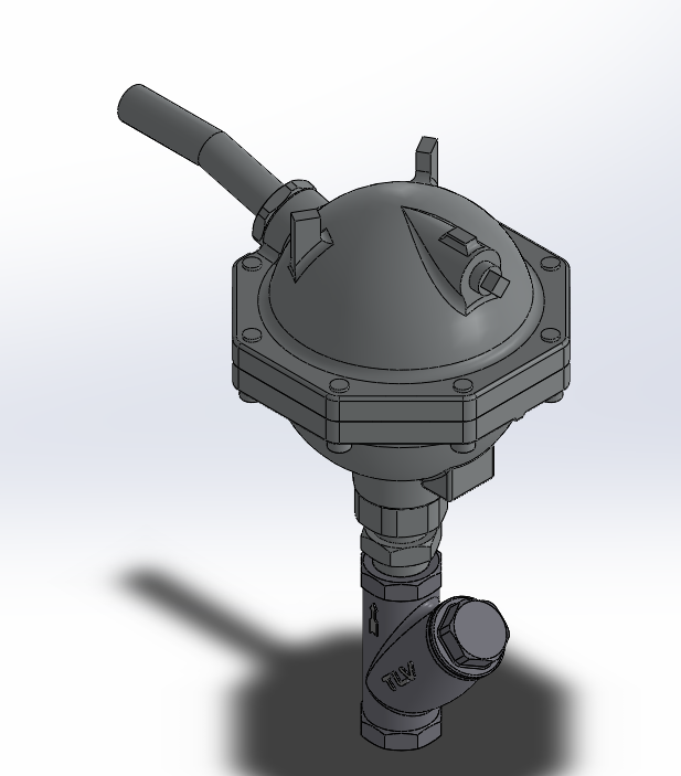 �����A�΂}���S�D