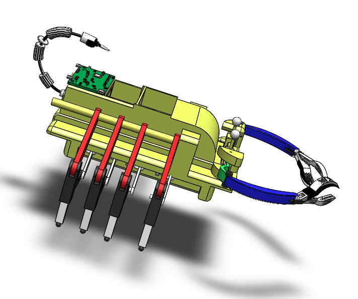 ����Ы�����