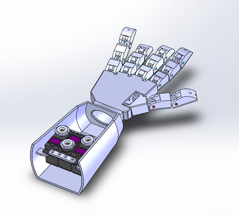 3D��ӡ��֫��