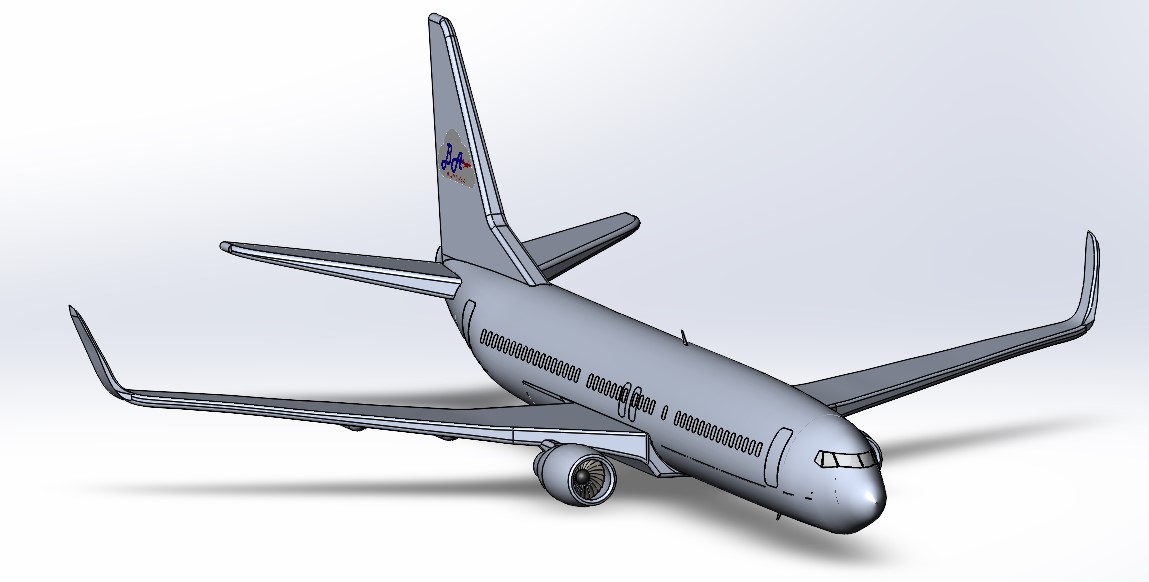 ���� 737-800�w�C