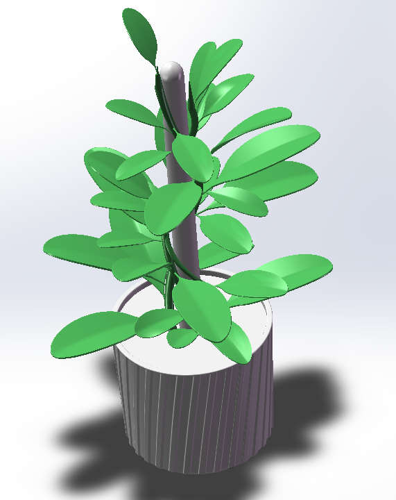 ֲ���b�Ʒ���S�D