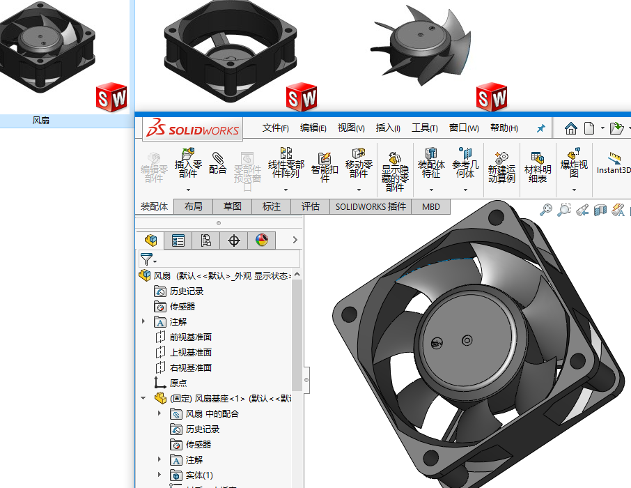 �L�����S�D