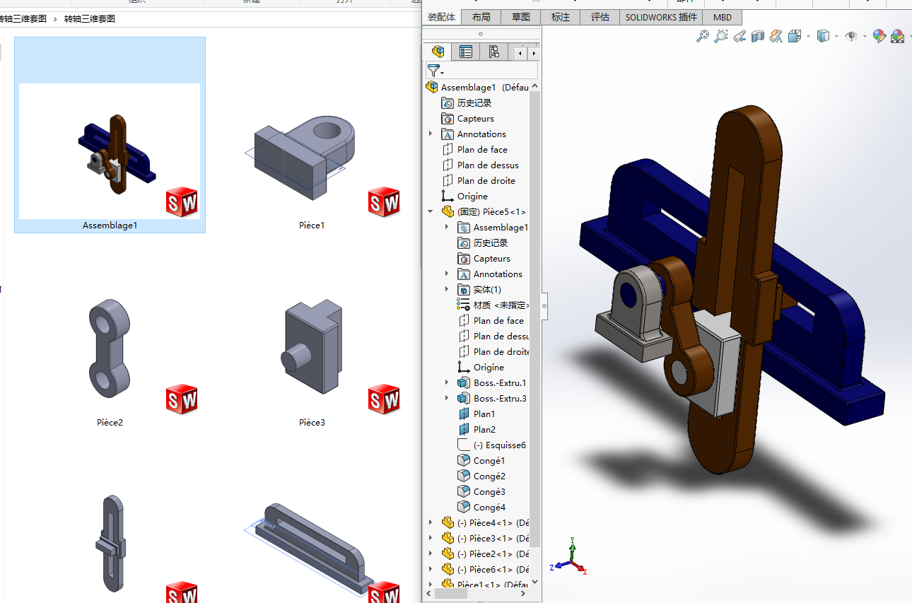 �D�S���S�׈D