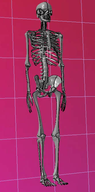 ���ʌW���w�ǼܽY��3D�D�� CATIA�OӋ ��STP